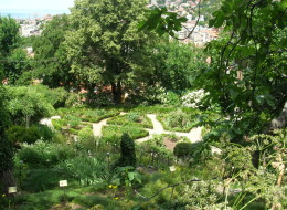 CIVICO ORTO BOTANICO