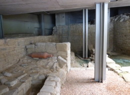 ANTIQUARIUM
