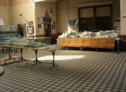 MUSEO FERROVIARIO DI TRIESTE CAMPO MARZIO