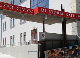 MUSEO CIVICO DI STORIA NATURALE “SILVIA ZENARI”